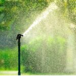 Fouten bij Tuinonderhoud