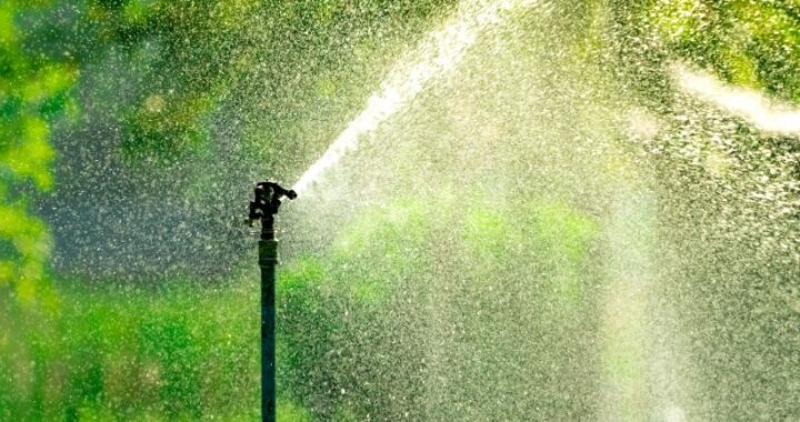 Fouten bij Tuinonderhoud